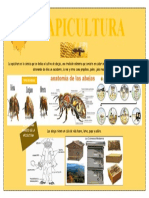 Apicultura: tipos de abejas y equipo