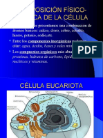 COMPOSICION_FISICO_QUIMICA_CELULAR (1)