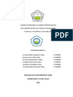 Laporan Ronde Keperawatan