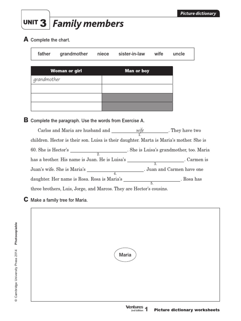 Ventures Level 1 Unit 3 Picture Dictionary Activity | PDF