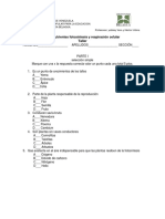 Transporte de Nutrientes Fotosíntesis y Respiración Celular Taller