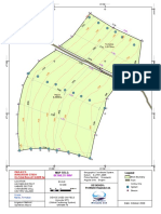 Maize and Tomatoes Plots