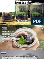 Forest in A Jar