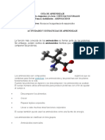 Guia de Aprendizaje Aminoacidos Grado 9