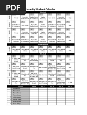 insanity workout calendar pdf individual sports weight training