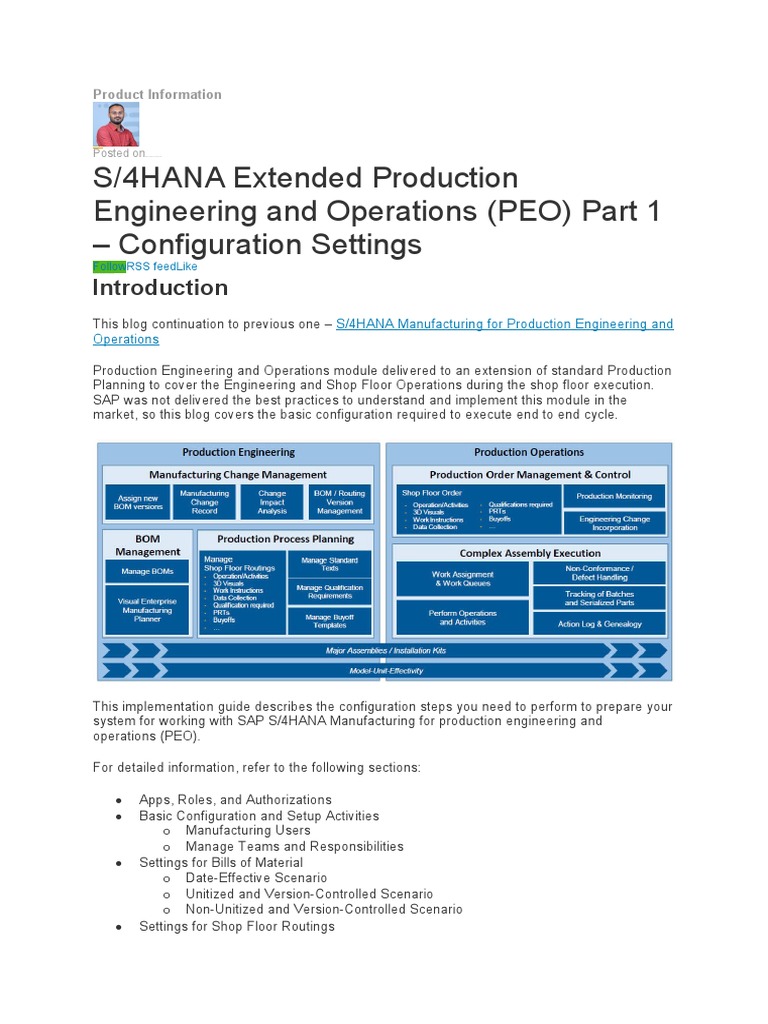 SAP S/4HANA PEO Configuration Guide | PDF | Computing | Business