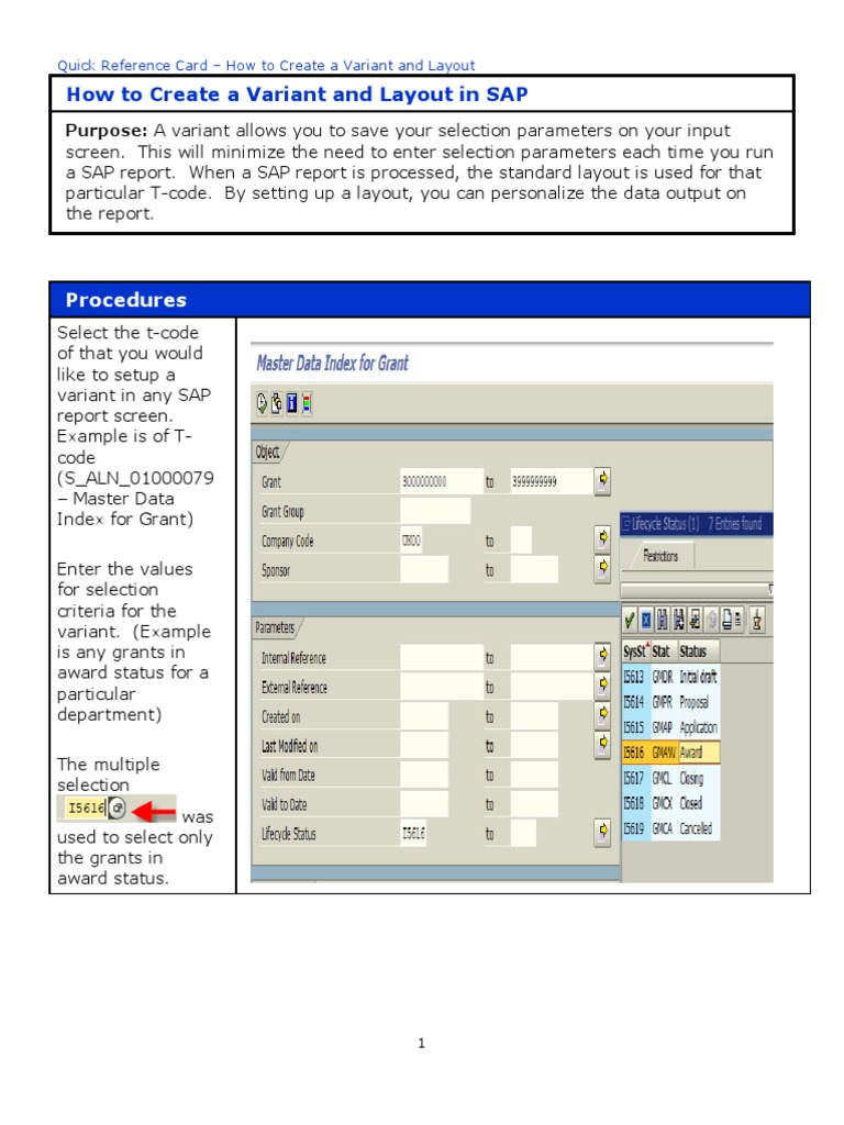 How To Create A Variant and Layout in SAP | PDF | Parameter (Computer ...