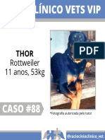 Caso Clínico Vets Vip: Rottweiler 11 Anos, 53kg