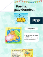 Poema Gato Dormilon