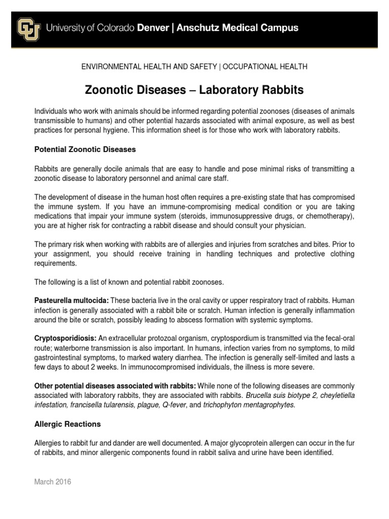 Lab Rabbit Safety for Animal Workers | PDF | Infection | Allergy