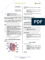 Sistema Cardiovascular: Aula 1 - O Coração E Os Vasos Sanguíneos Coração