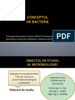 Conceptul de Bacterie. Structura Bacteriilor