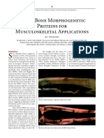 Use of Bone Morphogenetic Proteins For Musculoskeletal Applications