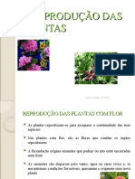 01_REP_PLANTAS_1