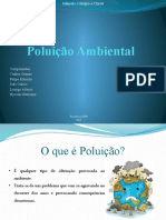 Poluição Ambiental