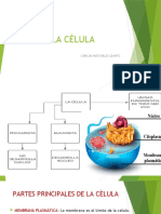 Ciencias Naturales - Grado Quinto Semana Cuatro