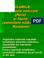 vegetatia_faunasisolurileromaniei