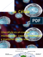 Clase CLEI III Ciencias Naturales 280421 La Célula