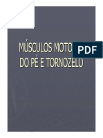 Tornozelo e Pé