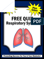 Free Quiz: Respiratory System