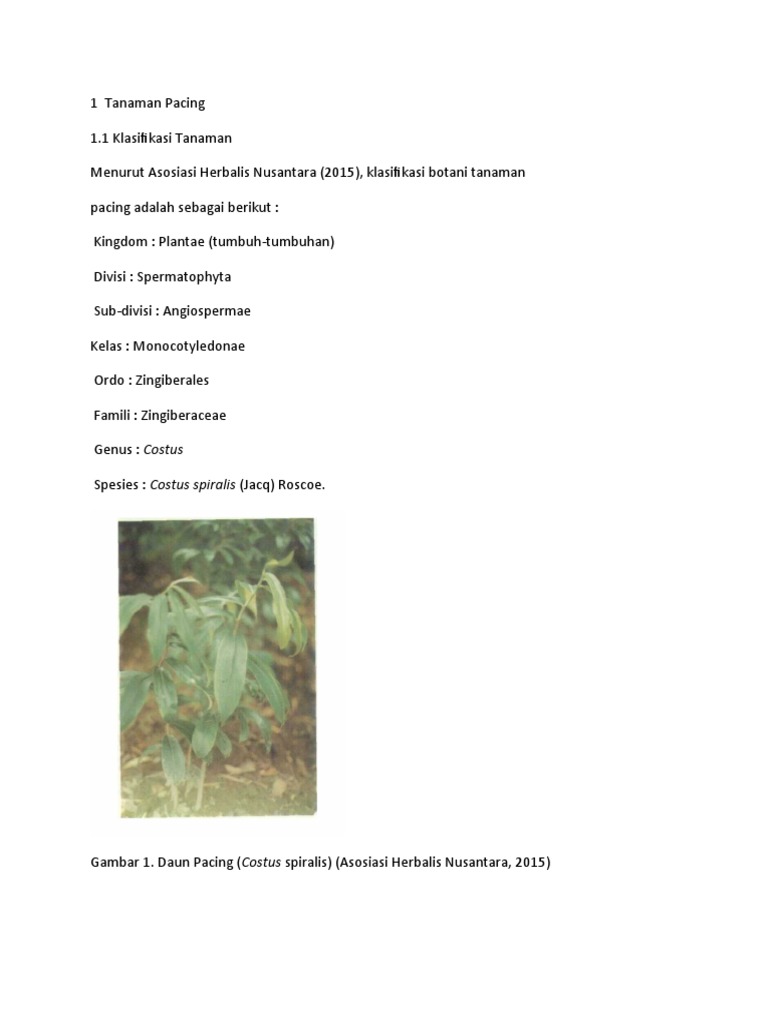 Tanaman Pacing | PDF