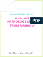 Pathology Images Marrow