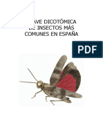 Clave Dicotomica Insectos