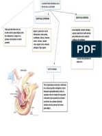 Examen Físico Regional de La Pelvis en La Gestante