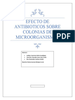 Efecto de Antibioticos Sobre Colonias de Microorganismos