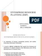 Enterprise Resourse Planning (Erp)