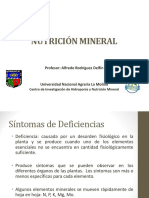 Nutricion-Mineral 2020 2