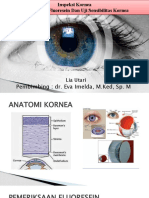 Inspeksi Kornea (Pemeriksaan Fluorosensi Dan Sensibilitas Kornea - Lia Utari - 1807101030033