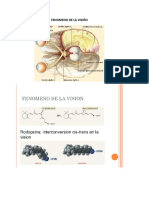 Fenómeno de Visión