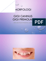 6506 Anatomi Gigi C Dan P