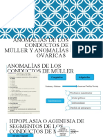 ANOMALÍAS DE LOS CONDUCTOS DE MÜLLER y Anomalías