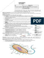 Bacteria Structure and Reproduction