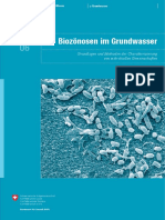 biozoenosen_im_grundwasser