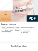 Biología Periodontal