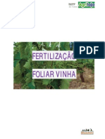 Fertilização Foliar Vinha