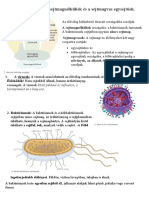 2021.05.04. Az Élővilág Országai Sejtmagnélküliek, Sejtmagas Egysejtűek