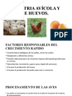 Industria Avícola y de Huevos