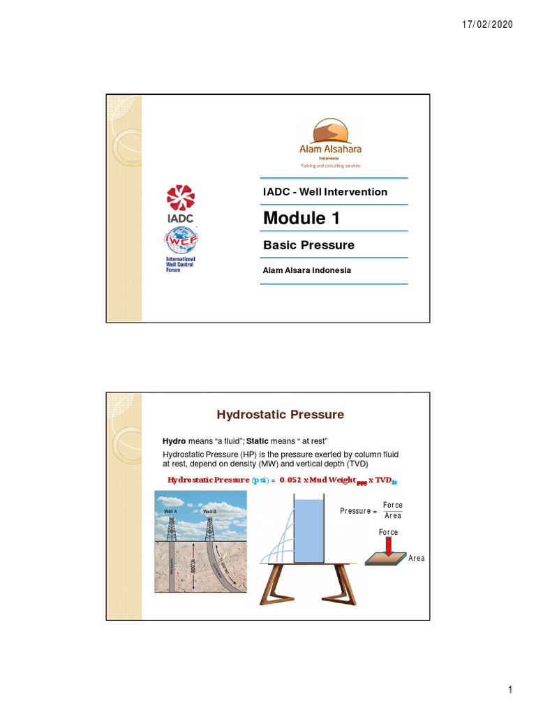Module 01 Basic Pressure Pdf Buoyancy Pressure