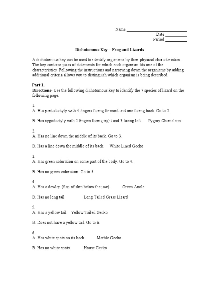 Dichotomous Key Lizards and Frogs PDF