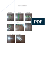 Documentation: A. Materials and Tool Material Orchid Root Rice Root Peanut Root