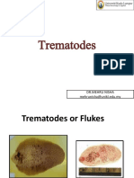 Lecture 11C - Introduction To Worms (Trematodes)
