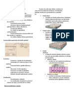 Tejido Epitelial - S1 - Histología