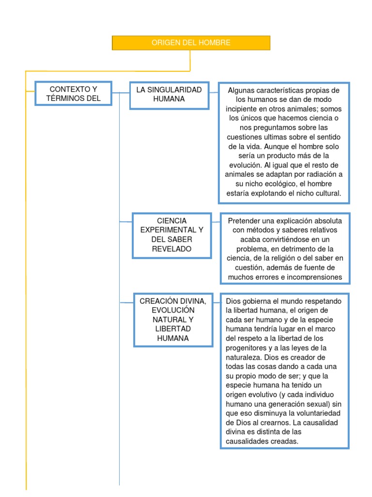 Mapa Conceptual ORIGEN DEL HOMBRE 1 | PDF | Homo | Evolución