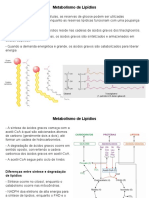 Metabolismo de Lipídios