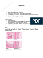 Nabothian Cyst