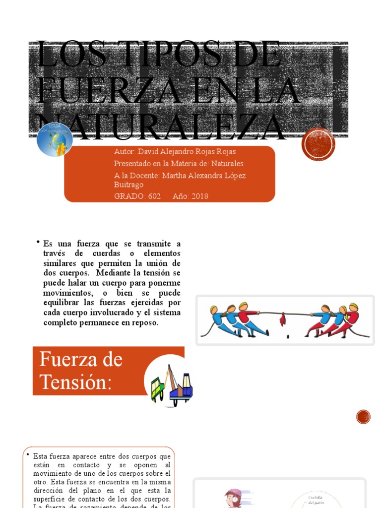 Los Tipos de Fuerza en La Naturaleza | PDF